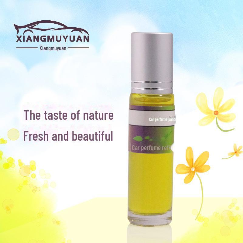 Car Aromatherapy Ornaments with Essential Oil Refill, 10ml, Multi-Fragrance