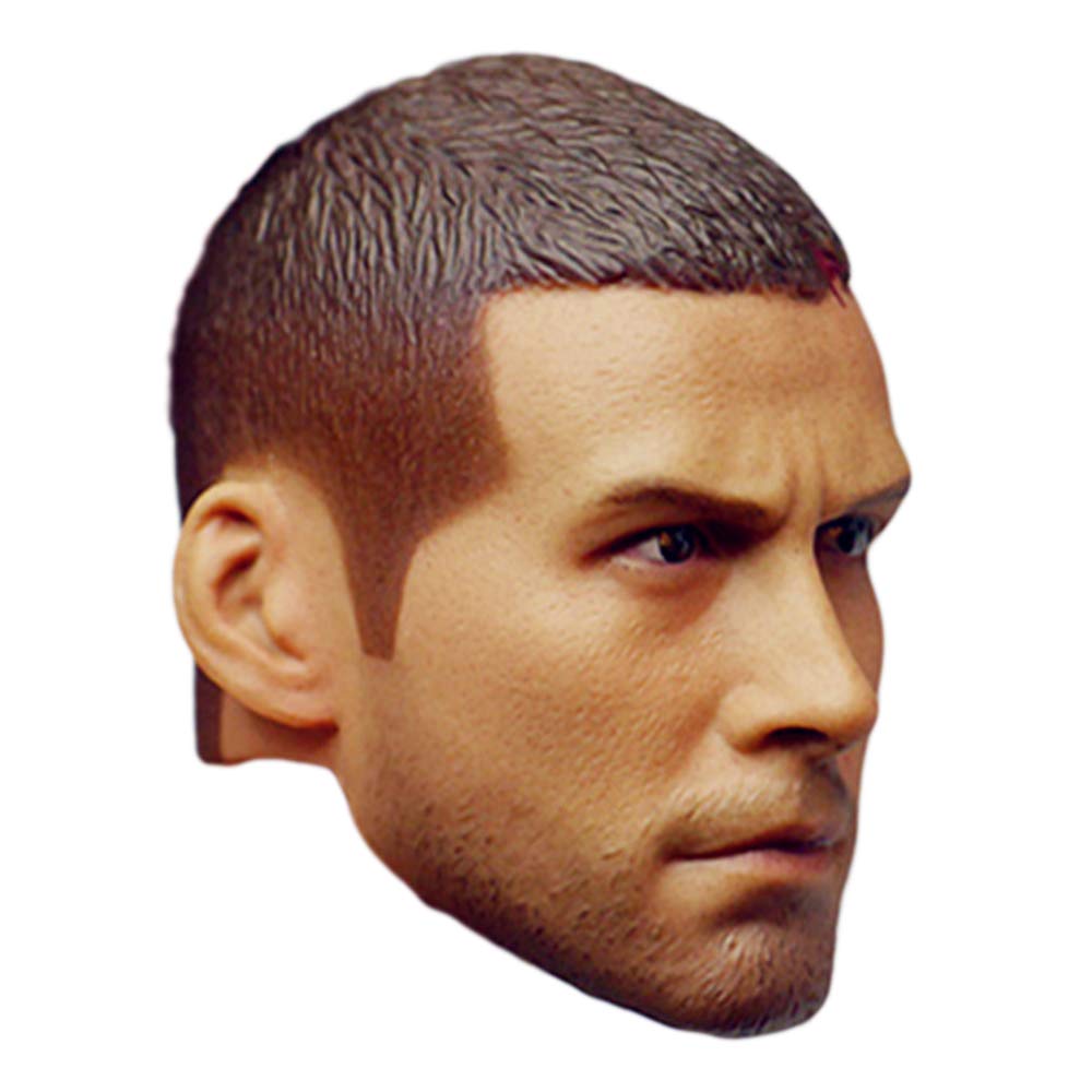 HiPlay 1/6 Scale Male Doll Head DH011 Handsome Painted Head Compatible with TBLeague Body E