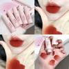 Matte Liquid Lipstick Waterproof Silky Smooth Soft Mist Velvet Apricot Lip Gloss Makeup Lip Mud for Women Lip Stain Cosmetics