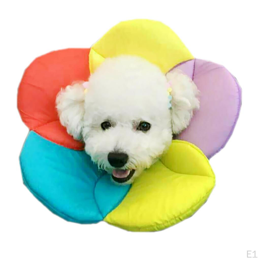 Adjustable Collar Pets From Scratching And Biting