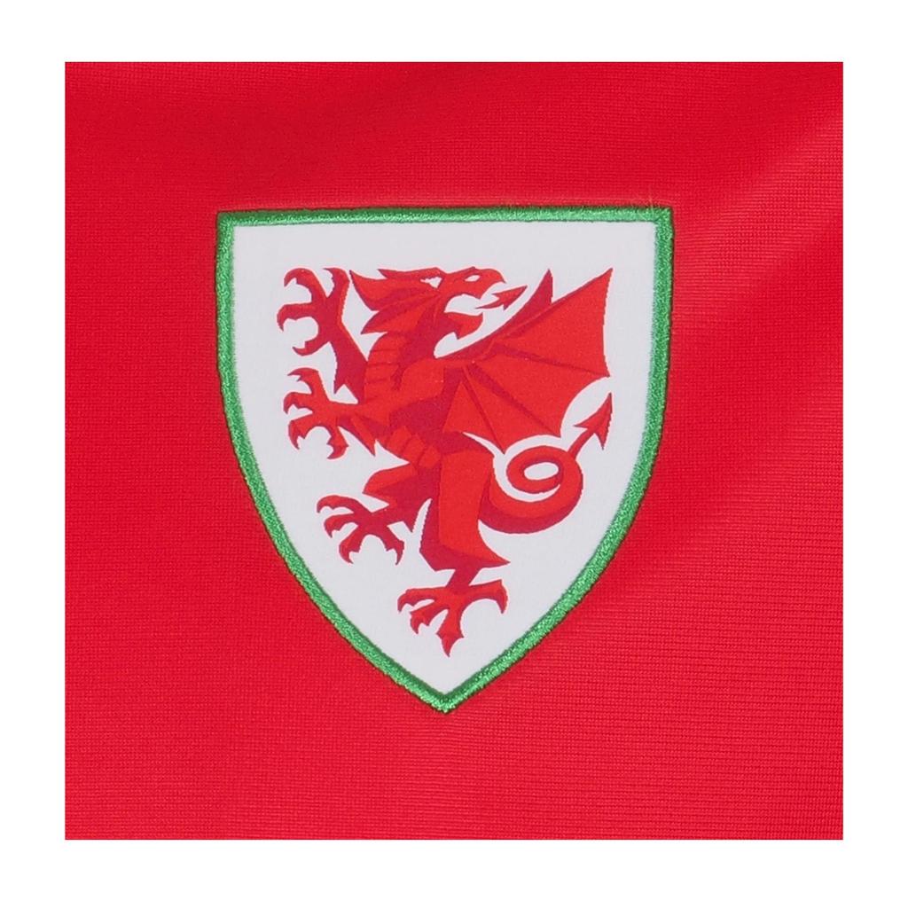 Wales Cymru Herren Retro Bomberjacke