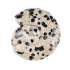 Natural Stone Conch Shell Figurine Healing Stone Ocean Ornament Boho Beach Polished Natural Gemstone Gifts for Men Women