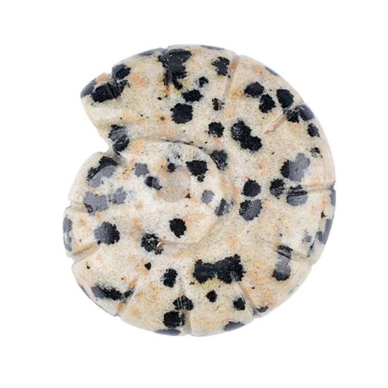 

Natural Stone Conch Shell Figurine Healing Stone Ocean Ornament Boho Beach Polished Natural Gemstone Gifts for Men Women H