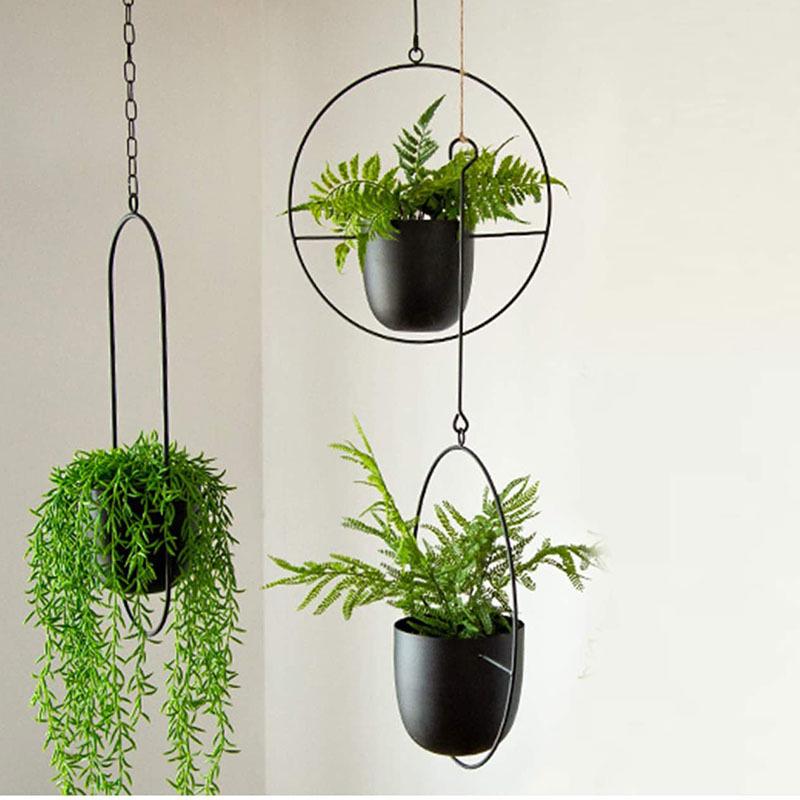 European Wrought Iron Hanging Hydroponic Planter for Spider Plants