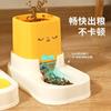 Pet Cartoon Automatic Feeding Water Feeder Large Capacity Cat Dog Universal Cat Bowl Dog Basin Pet Supplies