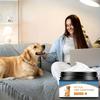 Smooth pet conditioner,suitable for cats and dogs,moisturizing, and glossy pet hair,containing collagen and natural oils,suitable for dogs and cats