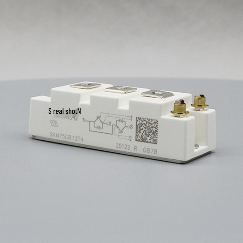 SKM600GAL126D, SKM800GAL126D, SKM50GAL128D Original German IGBT Modules