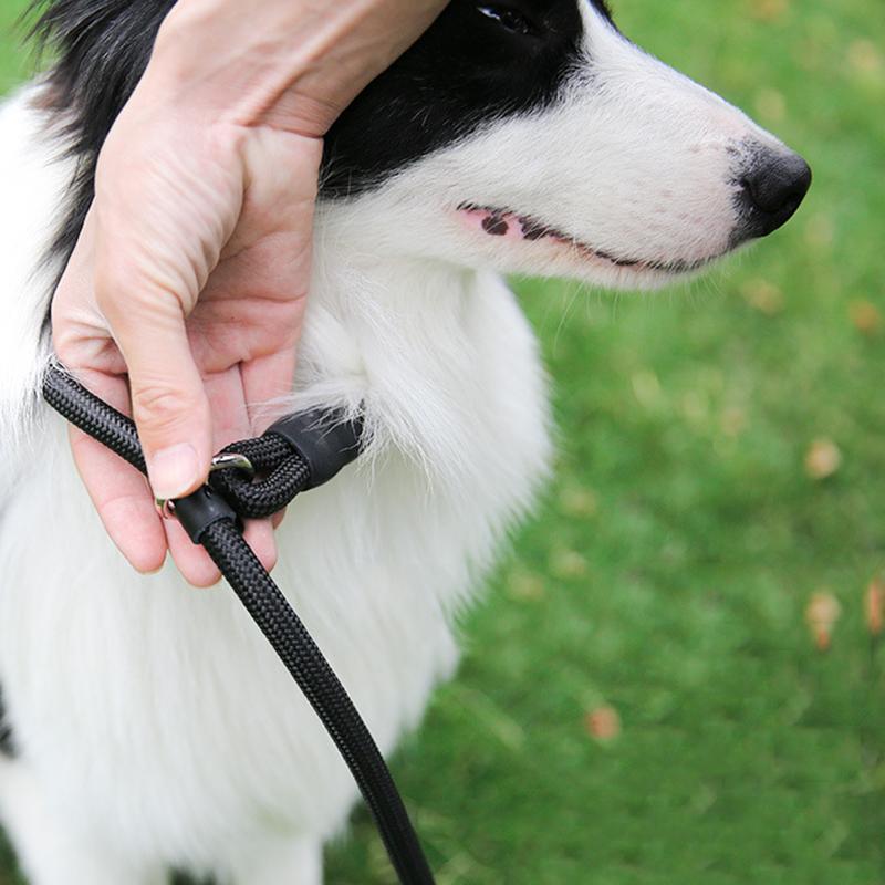 Nylon Dog Training Leash P Chain Pet Outdoor Walking Supplies for Small Medium Dogs Border Collie Golden Retriever Puppy