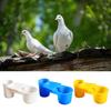 Pet Bird Dove Drinker Bowl Quail Water Cups Bottle Cat Chicken Pigeon Parrot Hamster Double Nozzle Water Guide Drinking Bowl