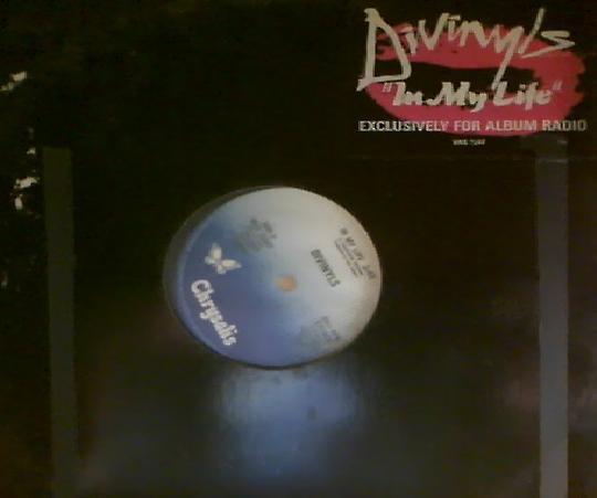 

12-дюймовая пластинка DIVINYLS In My Life VAS2247 Chrysalis 1985 US Pop Б/у