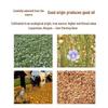 Jingdong Cold Pressed Flaxseed Oil