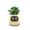 Intelligent Lazy Automatic Water Absorbing Flowerpot Plastic Resin Circular Usb Rechargeable Indoor Plant Small Flowerpot YLE22