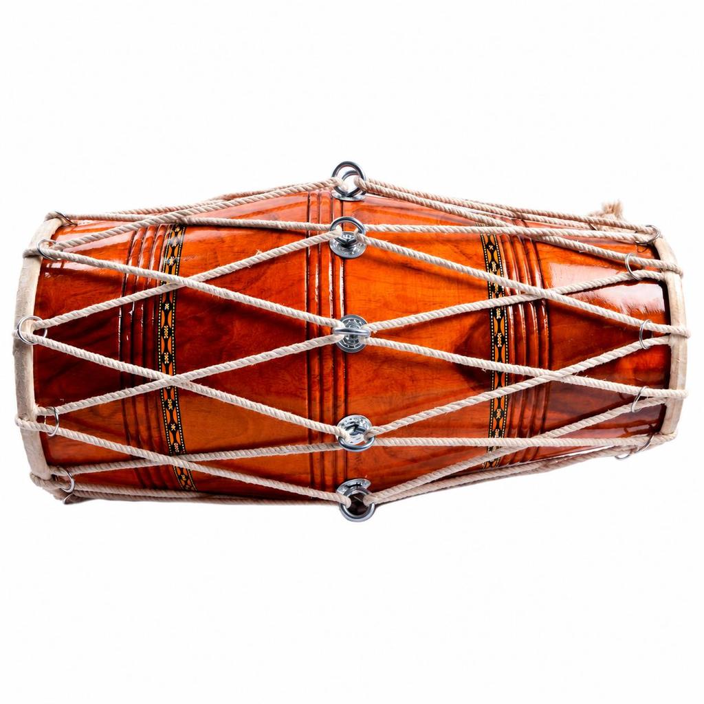 Indian Professional Bina Dholak no. 35 TR Musical Instrument With Bag