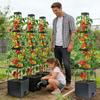 4Pack Raised Garden Bed Planter Boxes with Trellis 57 Self-Watering Tomato Planter Boxes with Trellis for Climbing Vegetable an