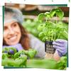 25-100x Hydroponic Pot Net Cups Garden Soilless Cultivation Slotted Mesh Net Cup Plastic Plant Rooter Grown Baskets Nursery Pots