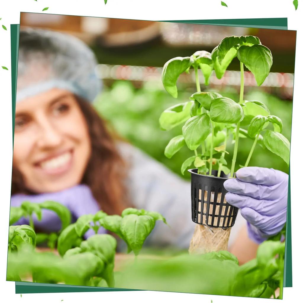 25-100x Hydroponic Pot Net Cups Garden Soilless Cultivation Slotted Mesh Net Cup Plastic Plant Rooter Grown Baskets Nursery Pots