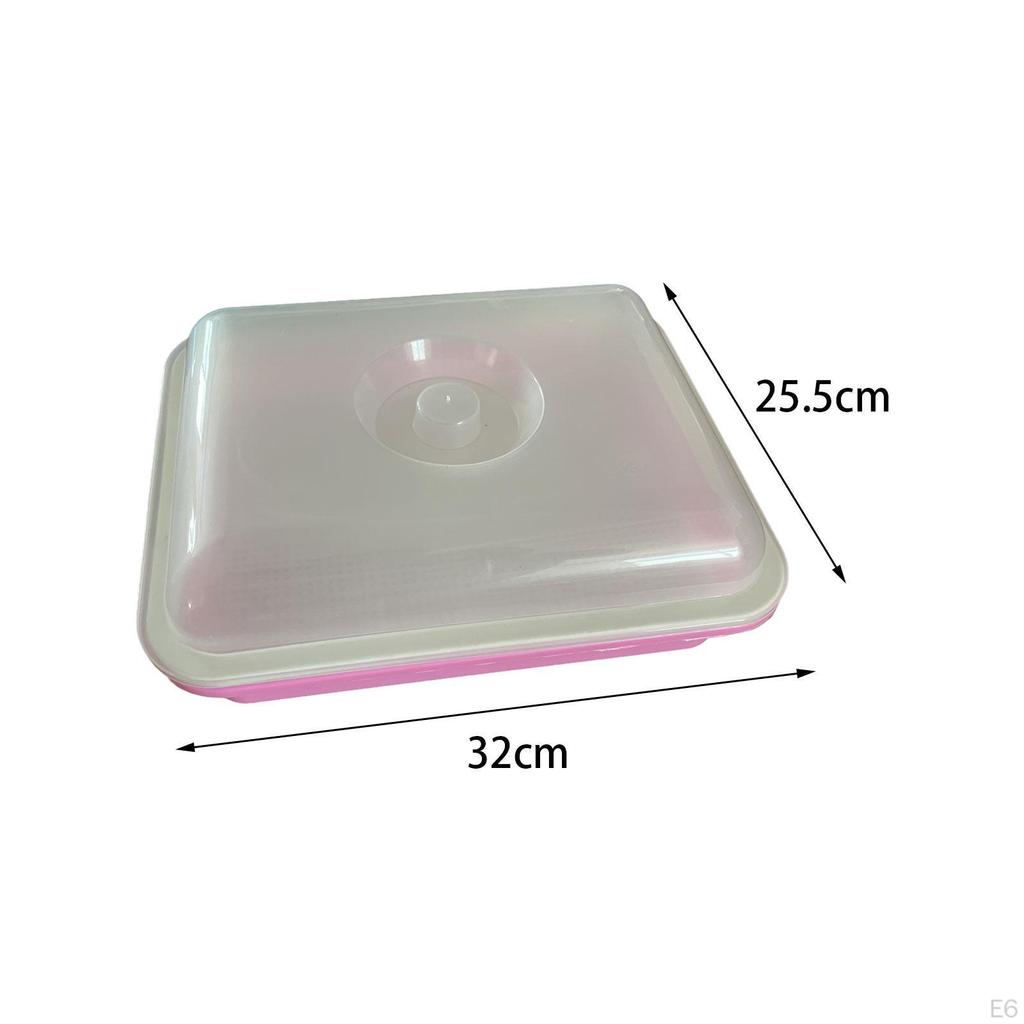 Seed Sprouting Trays for Plant Growth