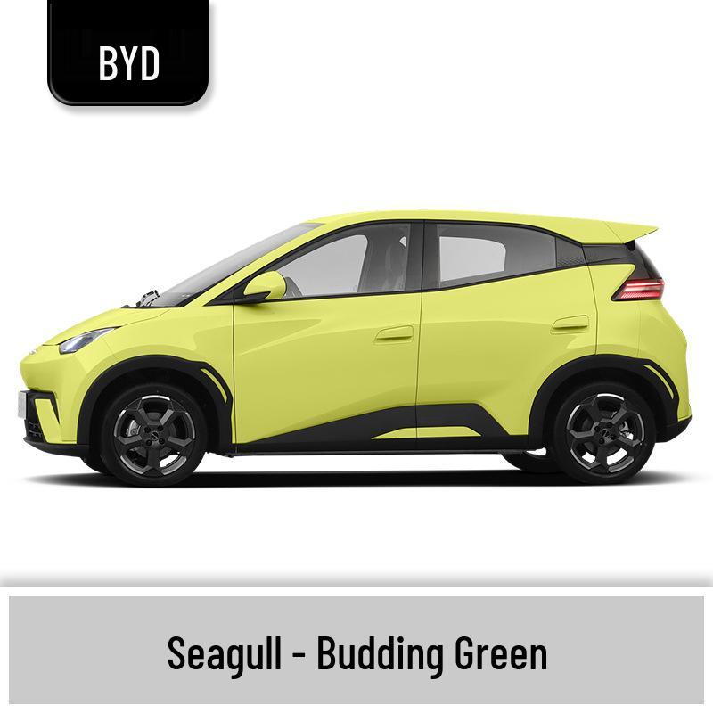 BYD Seagull Touch-Up Paint & Scratch Repair Pens with Paint Removal Tools