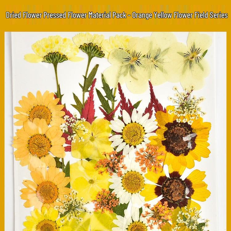 Autumn Dried Flower Bookmark Kit: Transparent Leaf Specimen with Lamination Film Stickers