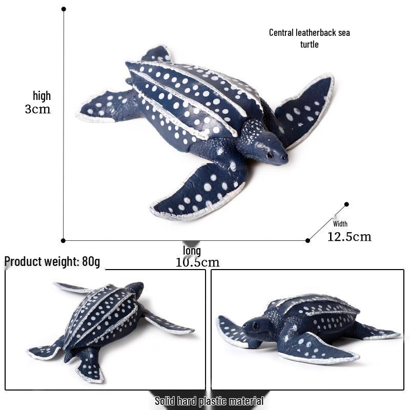 Children's Cognitive Marine Animal Models: Sea Turtle and Tortoise Toys