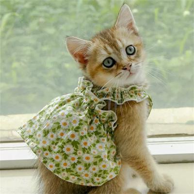 Summer Cotton Sphynx Cat Suspender Skirt Love Flower Pet Princess Dresses for Cats Gotas Katten Kedi Dog Dress Mascotas Clothes