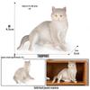 Three-Color Animal Model Plush Cat Toy - British Shorthair, Siamese, Persian, Orange, and Leopard Cat Simulation for Kids.
