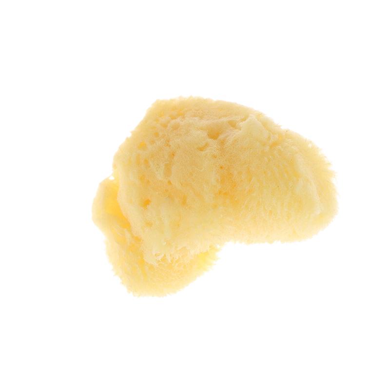 Special Texture Production Cleaning Tool Natural Greek Sponge Watercolor Painting With Absorbent Sponge Wiping Pen Painting