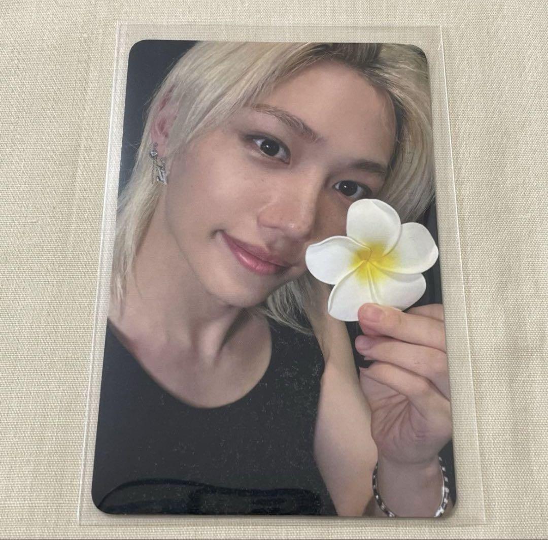 

[USED] Stray Kids, Everline, Felix Ebara