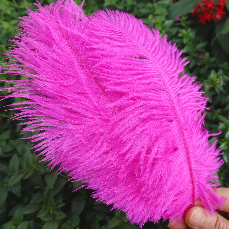 Large 15-20cm Ostrich Feathers for Wedding Arrangements and Stage Props