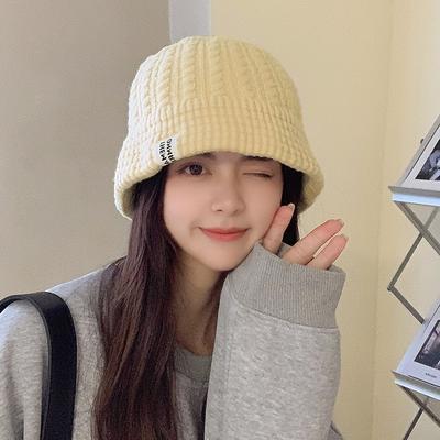 Women's Autumn and Winter New Korean Version Versatile Wool Hat Cold Hat Winter Warm Ear Protection Big Head Circumference Knitted Pot Hat Thick