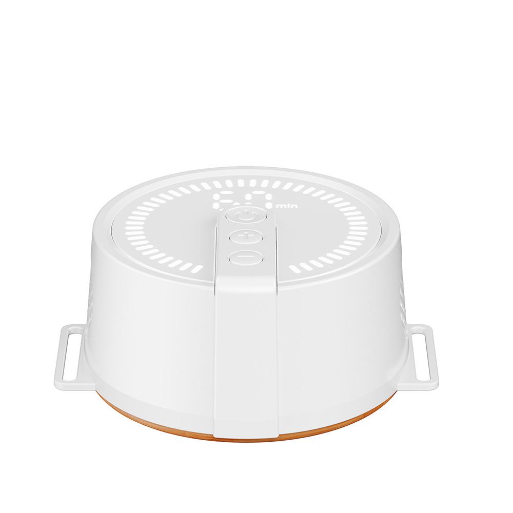 Portable USB-Rechargeable Smart Mugwort Moxibustion Box with Strap & Smokeless Moxa Cakes