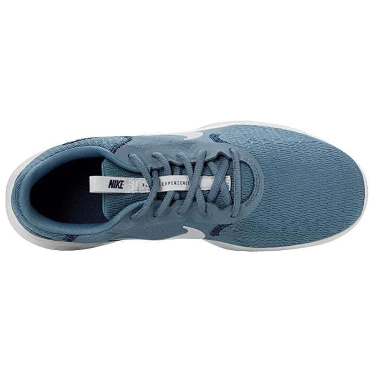 Nike Flex Experience Run 9 Ozone Blue CD0225-010