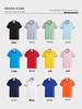 Ice-Cool Custom Polo Shirt with Embroidered Logo – Perfect for Office and Corporate Wear