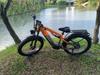 New Ebike LAFLY-X800 1500W 48V 20AH 26 Inch 4.0 Fat Tyre Off-road Electric Bike Men's Mountain Bike Snowmobile Electric Bike