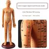 Medicine Acupuncture Acupoint Model Chart of Human Body Super Clear Body Twelve Meridians Human Shape Can Practise Small Skin People with Needles