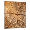 GLAS-SCHNEIDEBRETT 40x52 Holz