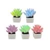5Pcs Miniature Potted Plants 1/12 Scale Doll Mansion Accessories Realistic Mini Plant Model for Collectors Kids Imaginative Play