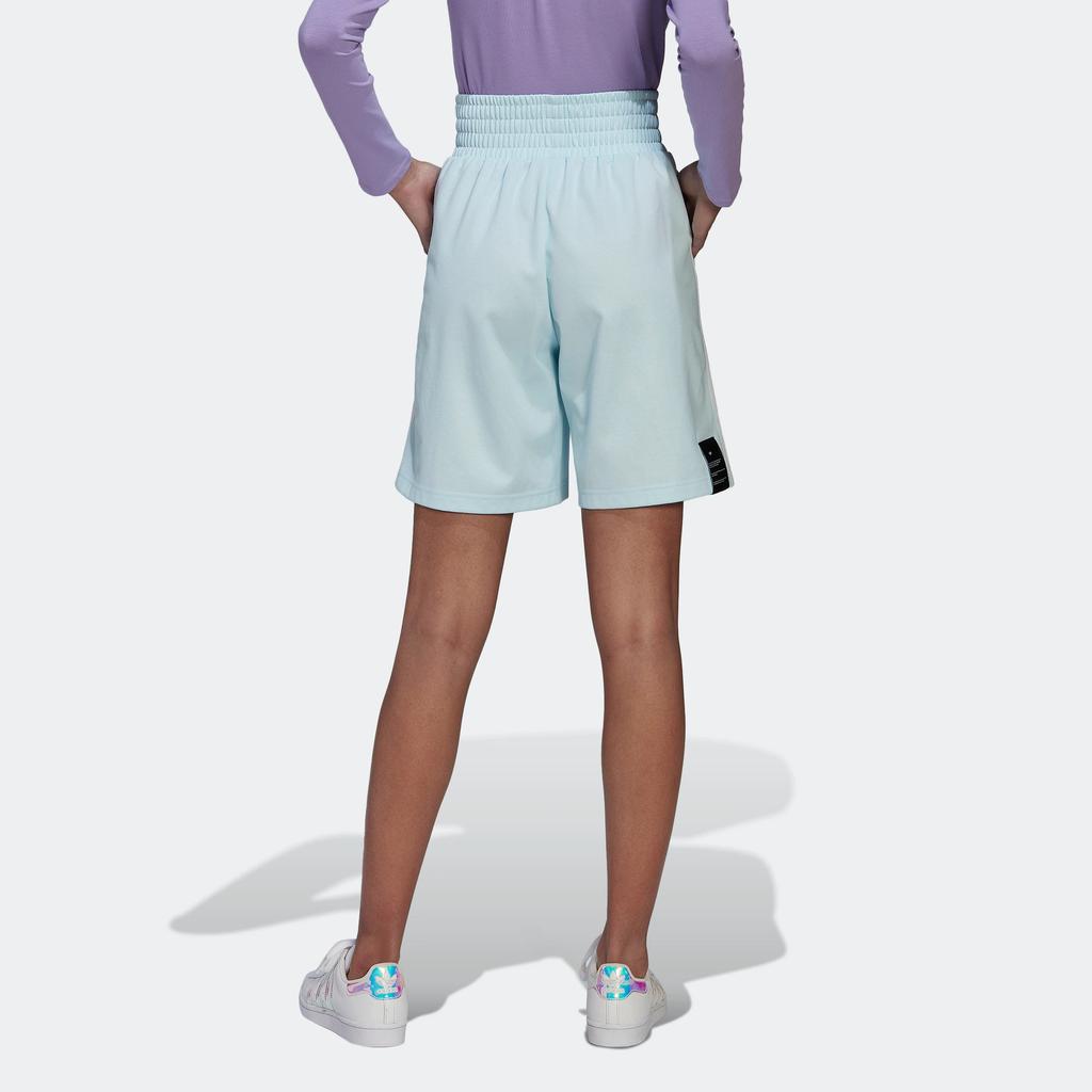 Adidas Originals Letter Print Sports Shorts Women shorts Sky-Blue HT3760