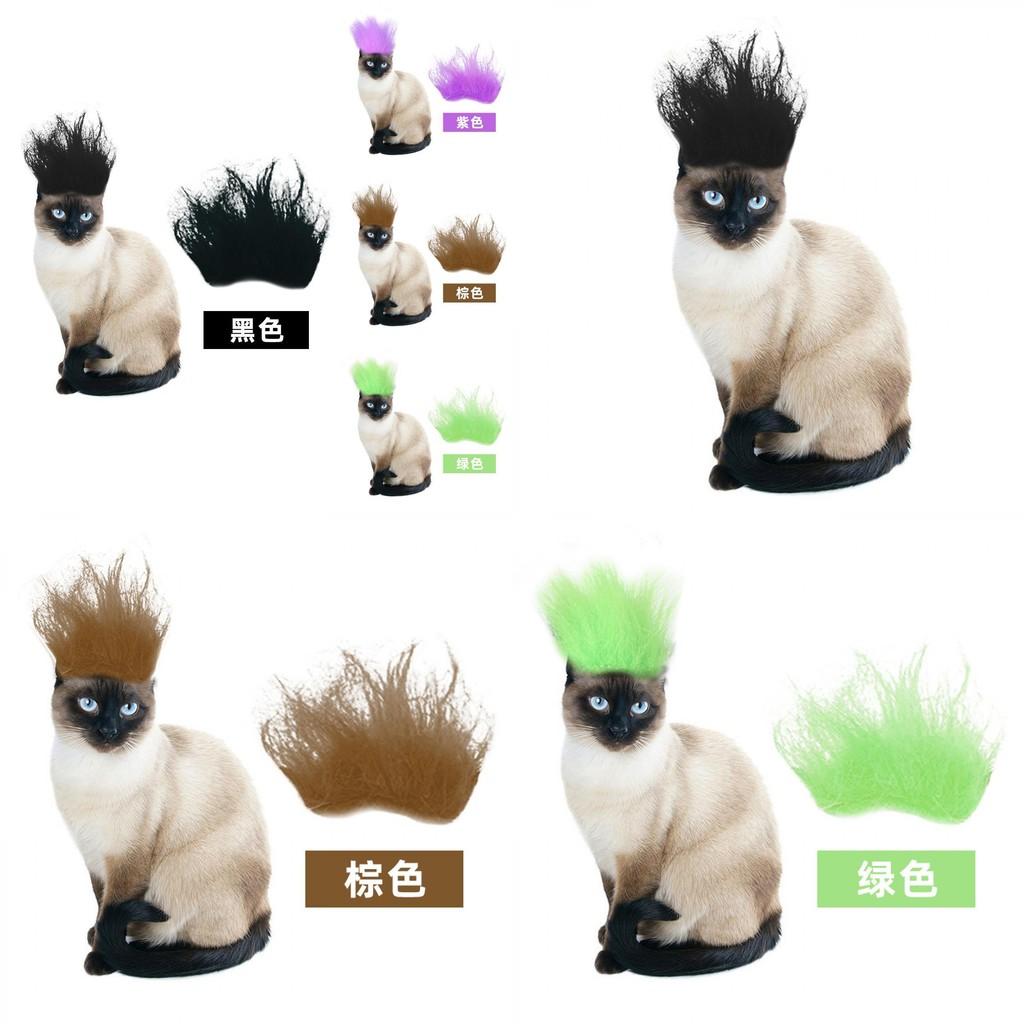 Colorful Cat And Dog Fancy Wig Accessories For Halloween Parties And Festivals