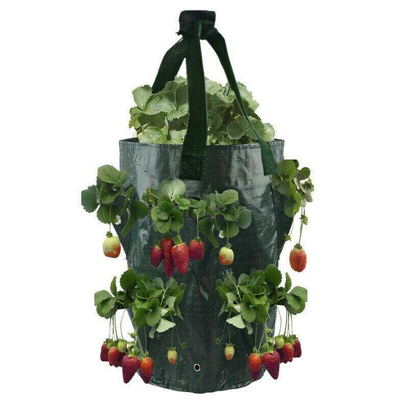 Cheap Grow Plant Bag Hanging Flower Garden Planter Outdoor Pouch