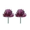 2pcs Colorful Fake Plant Plastics Artificial Flower Artistic Echeveria Chihuahuaensis  Home Decor