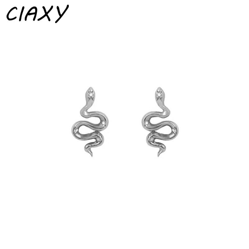 CIAXY Silver Color Snake Stud Earrings for Women Irregular Serpentine Zirconia Small Earring Jewelry Aretes De Mujer