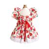Pet Clothes Cat Dress Spring Summer Teddy Than Bear Corgi Puppy Cat Dog Clothing
