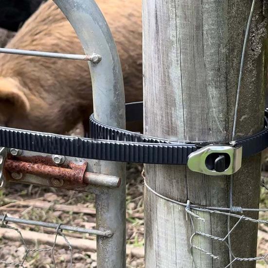 Cinghia a Cricchetto per Impieghi Gravosi con Blocco di Presa Compatta Portatile Collegabile Multiuso Fibbia a Cricchetto in Metallo Regolabile