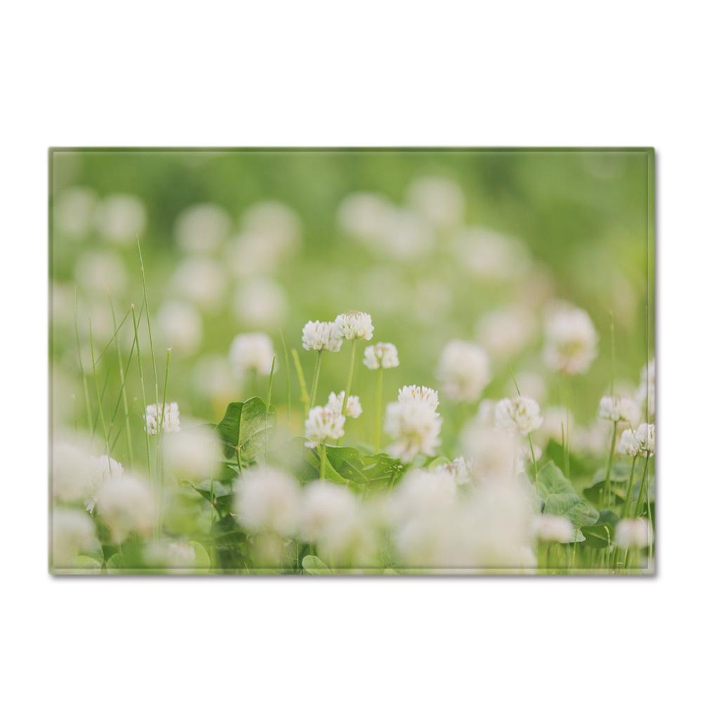 Scenic Carpet Feather Wind Bedroom Floor Mat