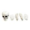Accessoires Squelette Halloween Lot de 5 Pièces - Faux Réaliste pour Décoration de Maison