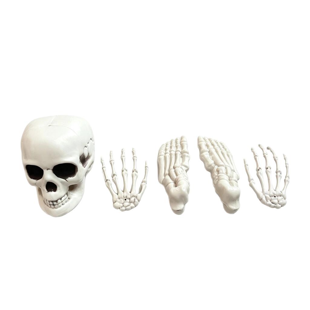 Accessoires Squelette Halloween Lot de 5 Pièces - Faux Réaliste pour Décoration de Maison