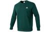 Sweatshirts Men's Green Crew Neck Moderate Regular IS1320