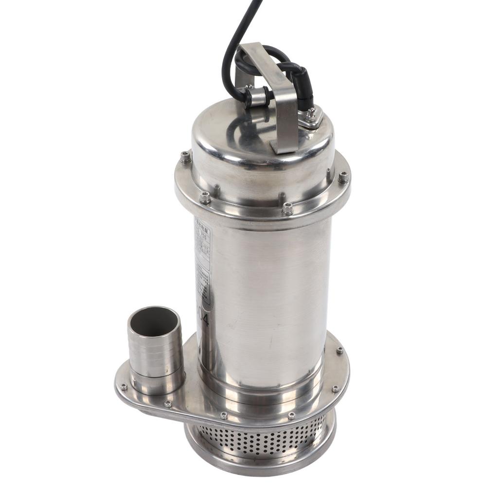 Tauchpumpe Edelstahl Hauswasserwerk Elektrisch Korrosionsbeständig Meerwasserpumpe 750W 220V