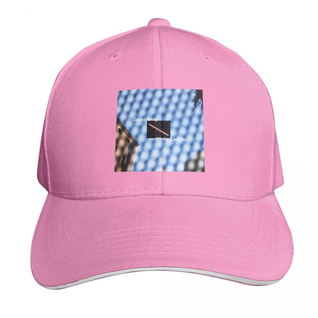 David Gray White Ladder Baseball Cap Wild Ball Hat Custom Hat Dad Hat Derby Ladies Unisexs
